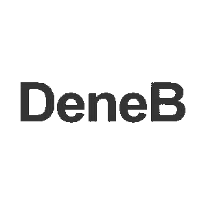 logo 20